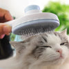 Pet cat Brush